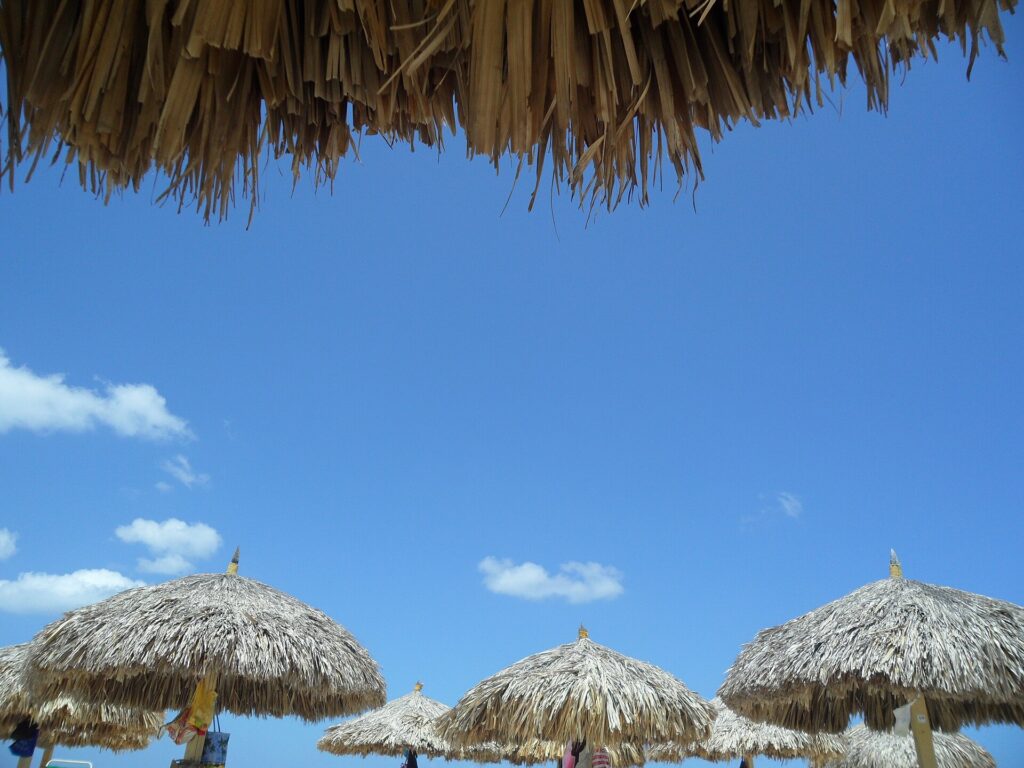 Thatched palapa beach umbrellas under a bright blue sky on Eagle Beach in Noord, Aruba, seen from beneath a palapa