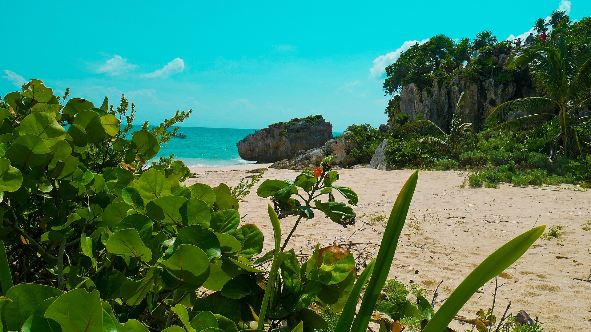 Tulum beach packing list sargassum season turquoise Caribbean water and jungle shoreline