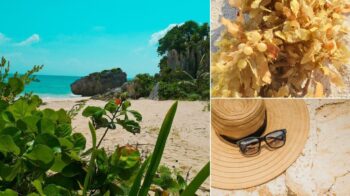 Tulum packing list collage: Tulum beach, sargassum seaweed and a straw hat with sunglasses