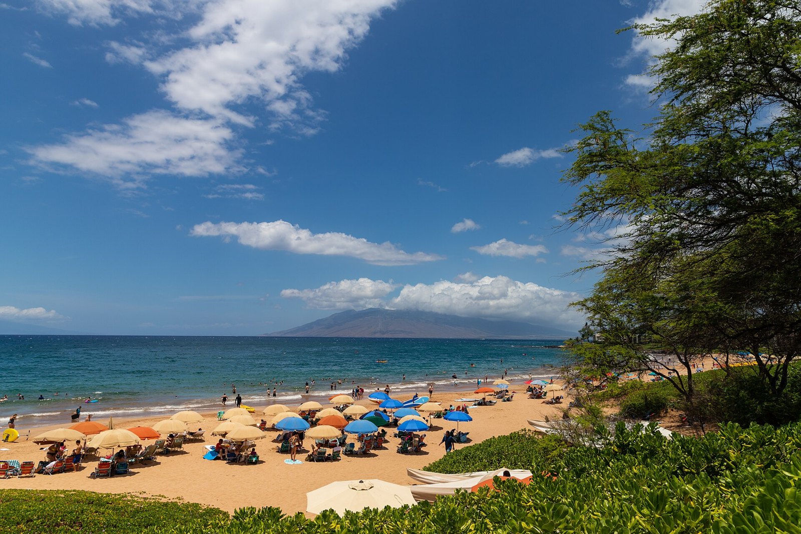 Rows of beach umbrellas on Wailea Beach on Maui's south shore, with calm blue water and a neighboring island on the horizon